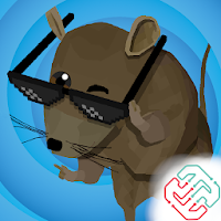 Rat Zone