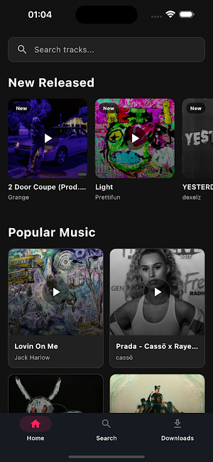 Tubidy Offline Music Player Screenshot 0