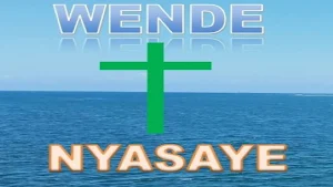 WENDE NYASAYE Screenshot 1