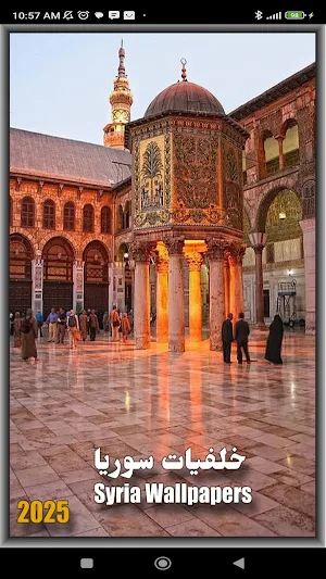 Syria Wallpapers Screenshot 0