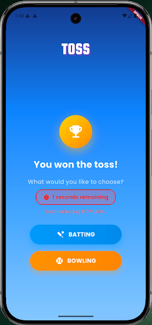 Hand Cricket Screenshot 2