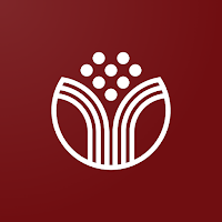 Terrafé - Cafés Especiais