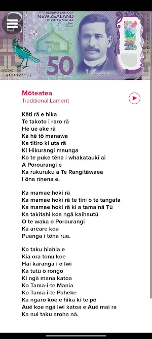 Haumi Screenshot 3