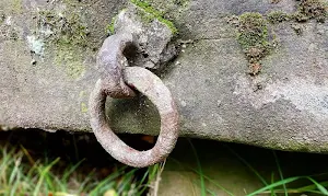 Rings wallpapers Screenshot 2