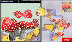 Magic Shape Puzzle 2 Screenshot 0