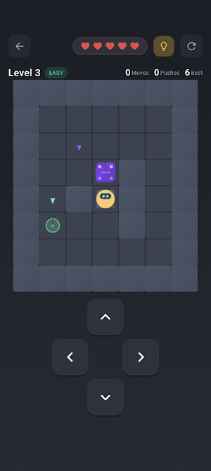 Sokoban Brain Games Screenshot 2