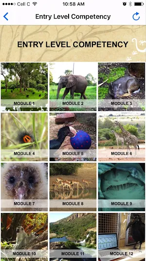 PAAZA Publications Screenshot 2