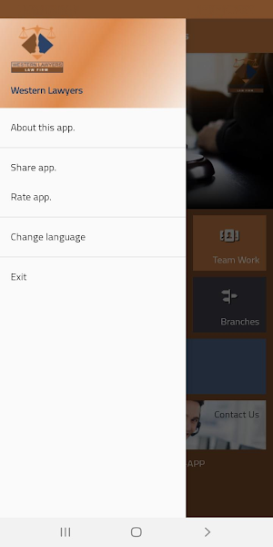 Western Lawyers Law Firm Screenshot 2