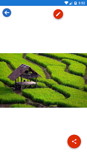 Field, Town, Village Wallpapers Screenshot 3