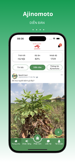 Khoai mì - Aji Screenshot 3