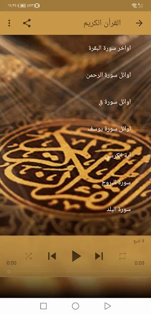 القران بصوت ابراهيم الطيب بدون Screenshot 2