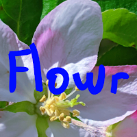 Flowr - Natural Wallpapers