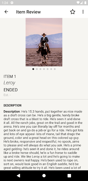 Gold Buckle Horse Sale Screenshot 2