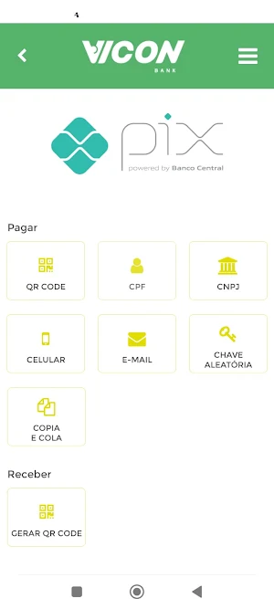 Vicon Bank Screenshot 3