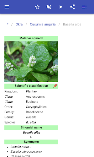 Vegetables Screenshot 3
