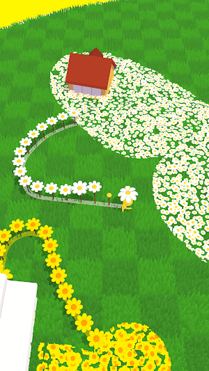 Flower Rush Screenshot 1