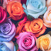 Colorful Roses Theme +HOME