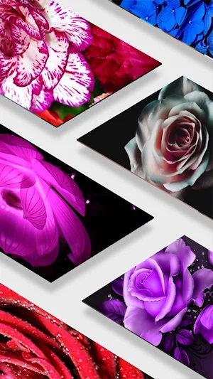 Spring Flowers Wallpapers Screenshot 1