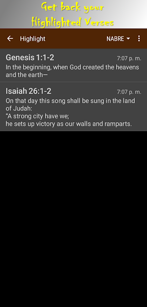 Holy Bible NABRE Screenshot 3