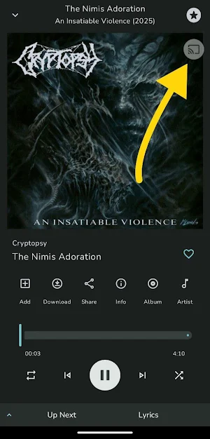 Chromecast Plugin PowerAmpache Screenshot 2