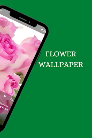 Flower Wallpaper - Images Screenshot 2