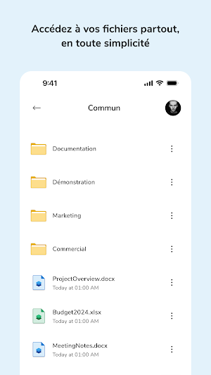 NetExplorer Workspace Screenshot 0