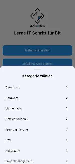 LearnAQuiz -IT Schritt für Bit Screenshot 1