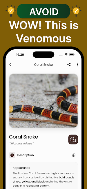 Snake ID: AI Snake Identifier Screenshot 1