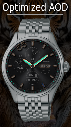 Realistic Classic Watch Face Screenshot 3
