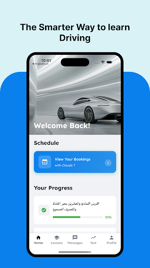 Drivewize AI Screenshot 0