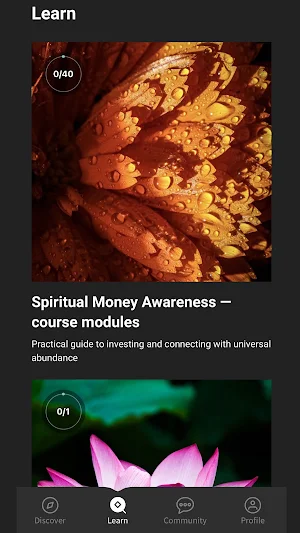 Spiritual Money Screenshot 0