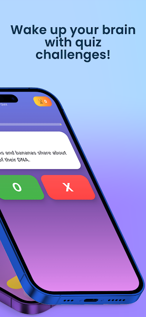 Quiz Trivia - Brain Training Screenshot 1