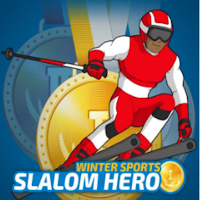 Slalom Hero