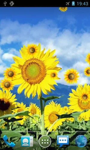 Sunflower Live Wallpaper Screenshot 1