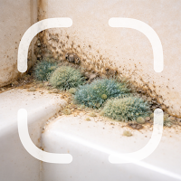 Mold Identifier