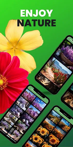 Flowers and Life Wallpapers HD Screenshot 1