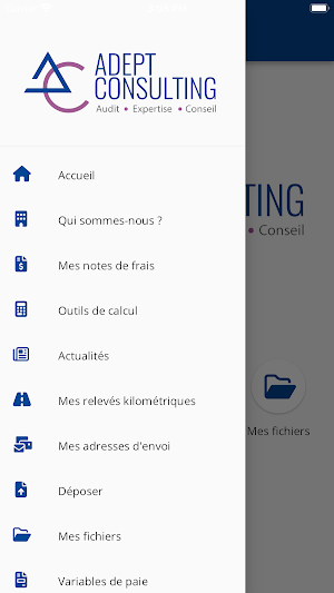 Adept Consulting Screenshot 2