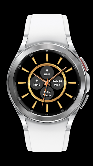 Gold Watch Face Screenshot 2