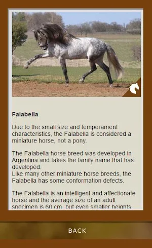 Breed Guide: Horses Screenshot 2