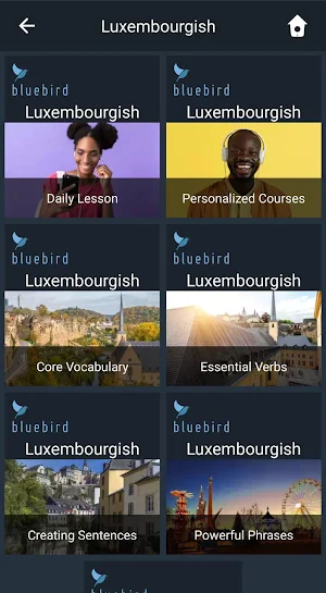 Learn Luxembourgish. Speak Luxembourgish. Screenshot 0