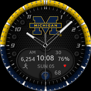 Michigan Premium Watchface Screenshot 2