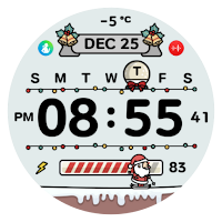 NW117: DIgital watch face