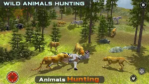 Animal Hunting Safari Shoot Screenshot 3