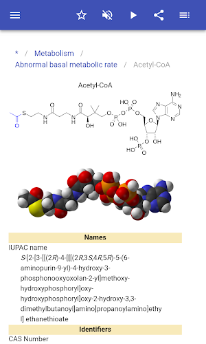 Metabolism Screenshot 3
