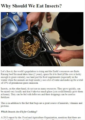 How to Eat Bugs & Insects Screenshot 3