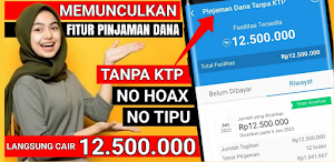 Cara Aktifkan Dana Paylater Screenshot 2
