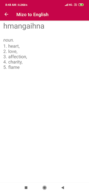 Mizo To English Dictionary Screenshot 3