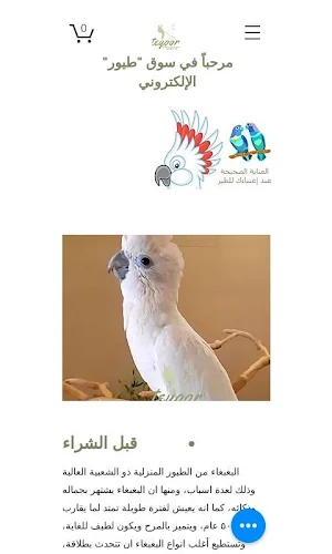 Teyoor Screenshot 0