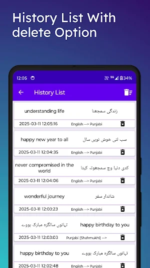 English Punjabi Shahmukhi Tran Screenshot 3