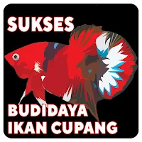 Cara Ternak Ikan Cupang Lengkp